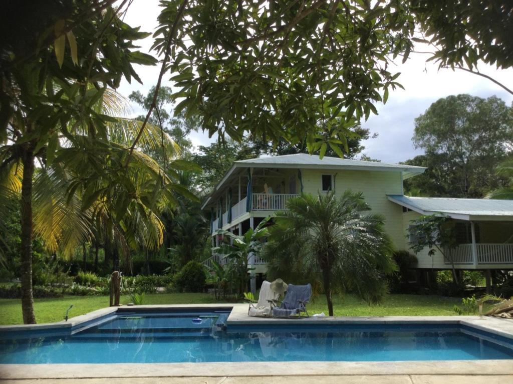 Sand Dollar Beach Bed & Breakfast Бокас-дель-Торо Экстерьер фото